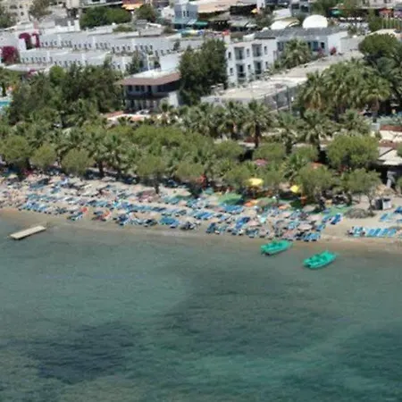 Sami Plaza